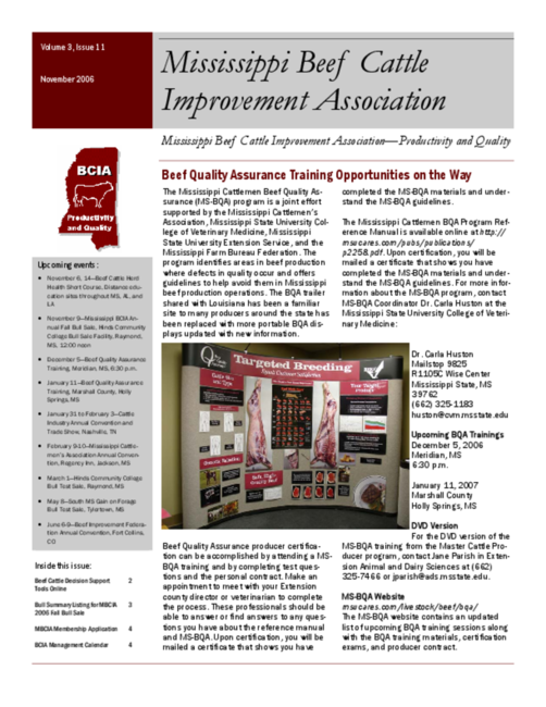 Preview of nov2006mbcia.pdf