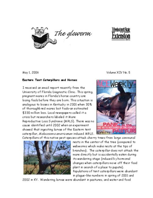 Preview of glow0501.pdf