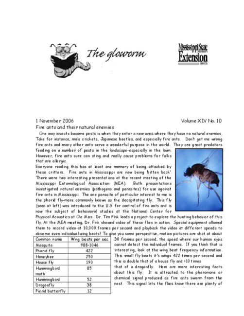 Preview of glow1101.pdf