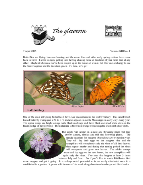 Preview of glow0405.pdf