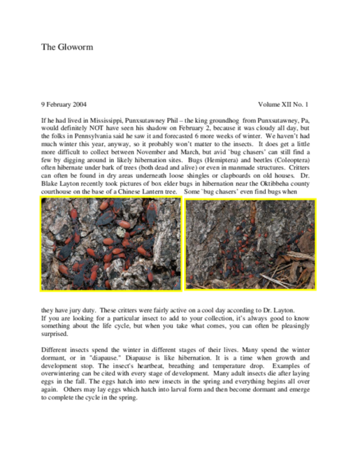 Preview of glow12004.pdf