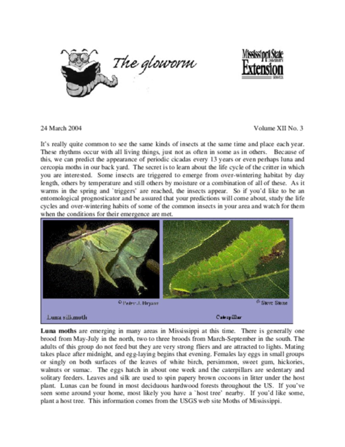 Preview of glow0304.pdf