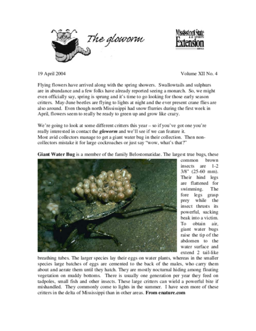 Preview of glow0404.pdf