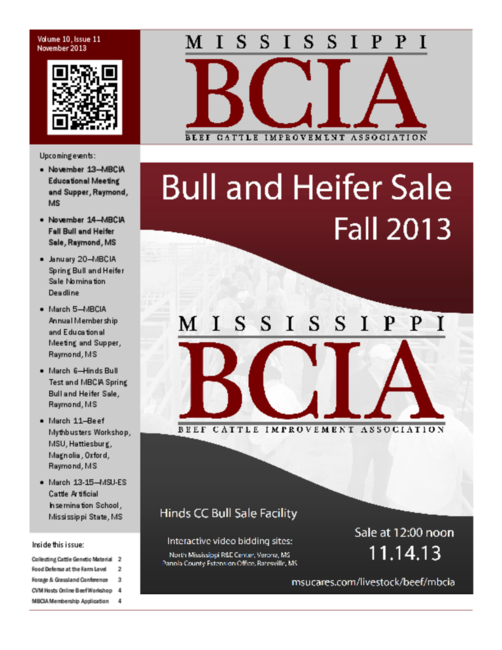 Preview of nov2013mbcia.pdf