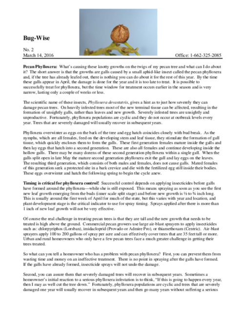 Preview of 2016 BugWise No 2 - Pecan Phylloxera.pdf
