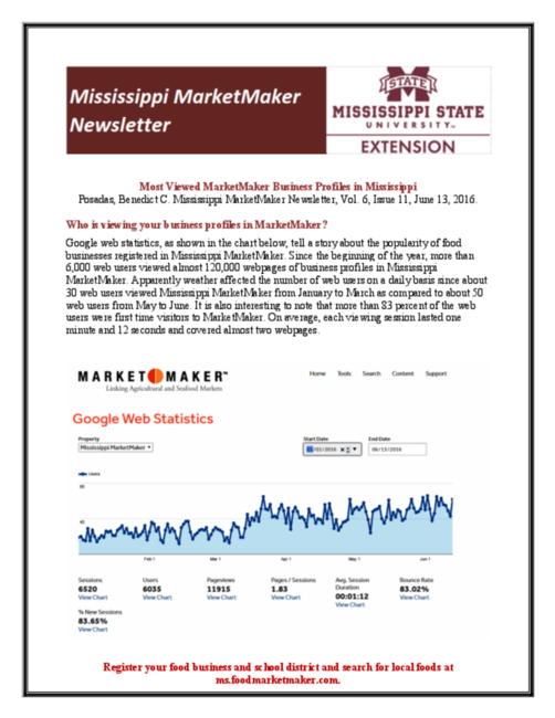 Preview of msmarketmaker-google-stats-june-2016.pdf