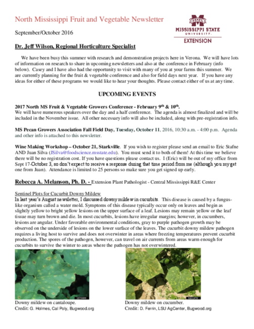 Preview of September-October-Newsletter-NMFV.pdf