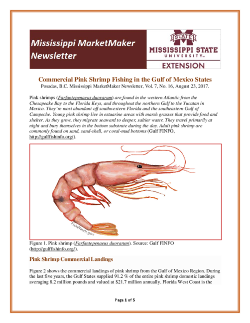 Preview of Newsletter-pink-shrimps-2017.pdf