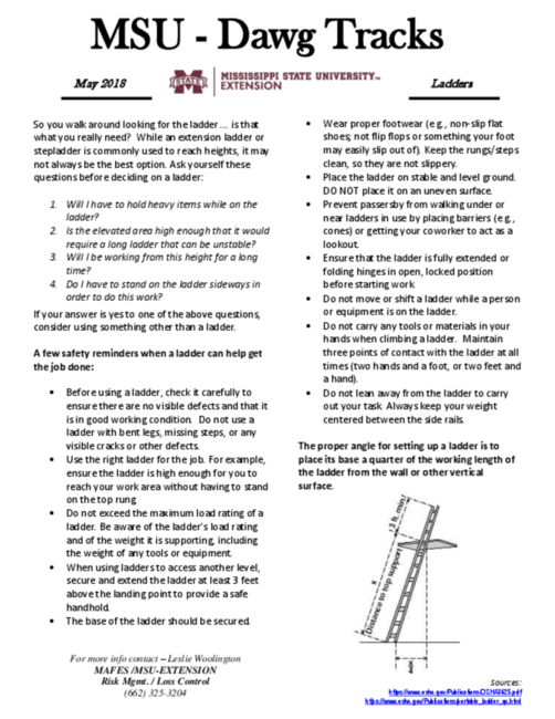 Preview of ladders_es_newsletter_may_2018.pdf