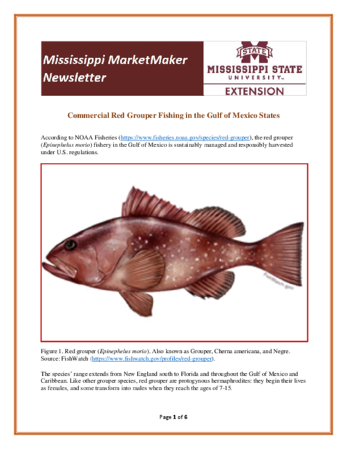 Preview of Newsletter-red-grouper-2018.pdf