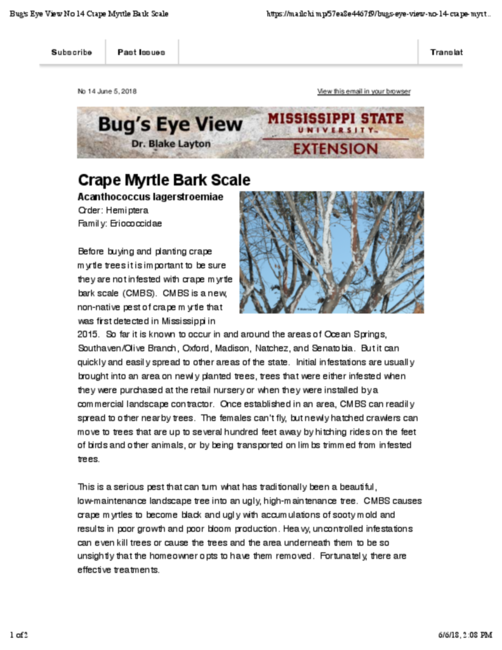 Preview of Bug's-Eye-View-No-14-Crape-Myrtle-Bark-Scale.pdf