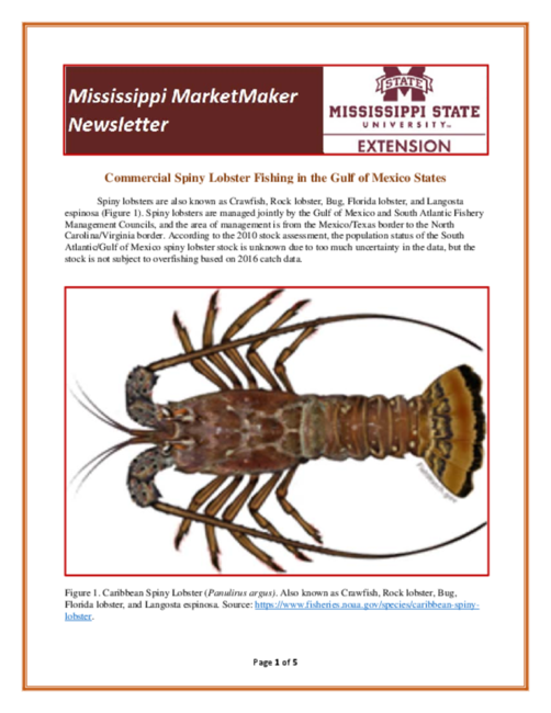 Preview of Newsletter-spiny-lobster-2018.pdf