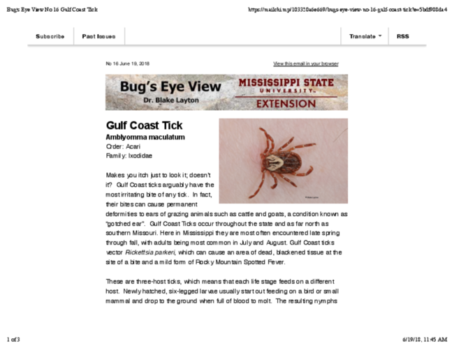 Preview of Bug's Eye View No 16 Gulf Coast Tick.pdf