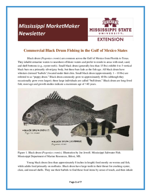 Preview of Newsletter-Black Drum-2018.pdf