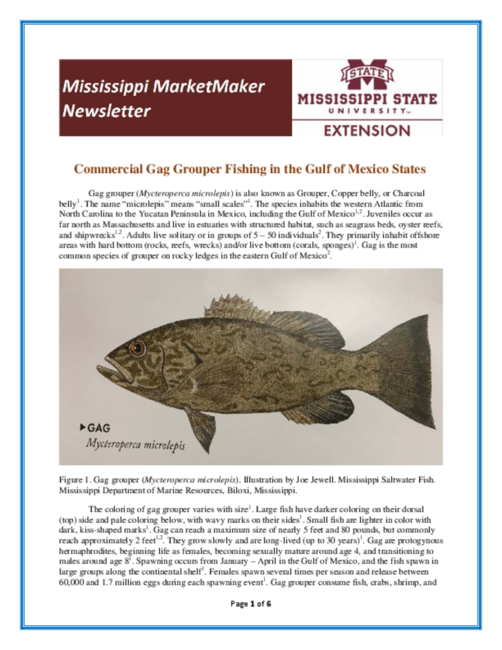 Preview of Newsletter-Gag-Grouper-2018.pdf