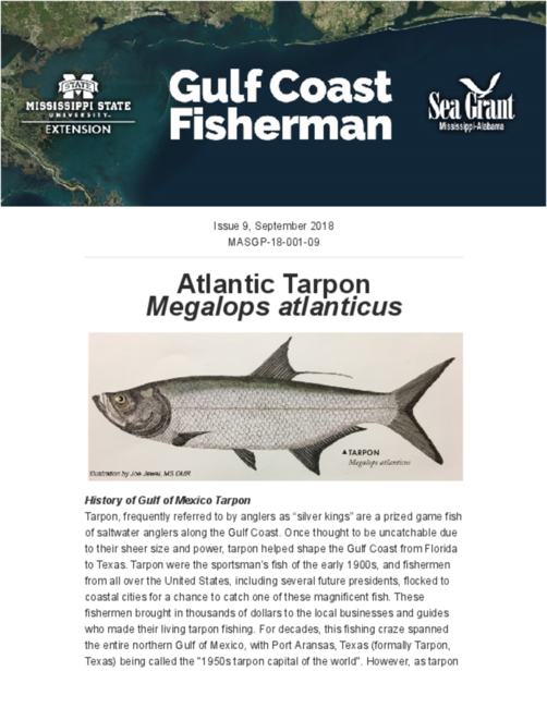 Preview of September-2018-GulfCoastFisherman.pdf