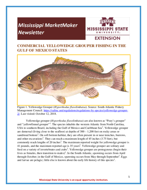 Preview of Newsletter-Yellowedge-Grouper-2018.pdf