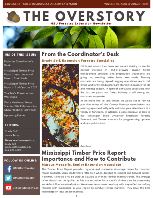 Preview of Overstory V10 I3.pdf