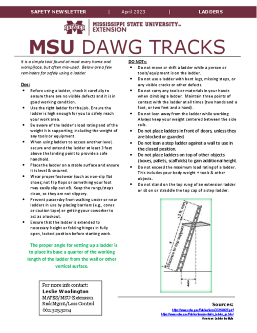 Preview of ladders - April_2023.pdf