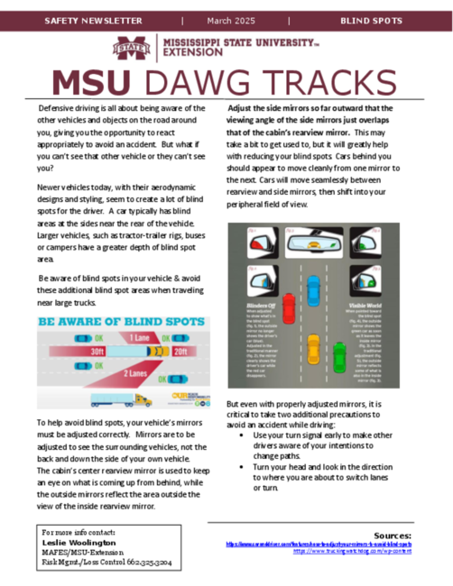 Preview of blind spots - March 2025.pdf