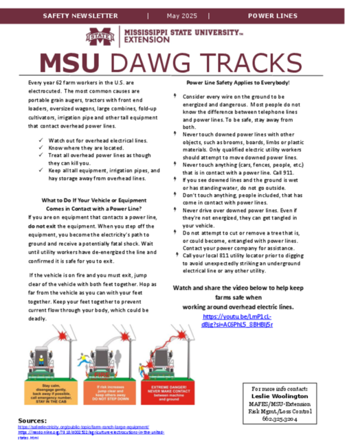 Preview of power lines - May 2025.pdf