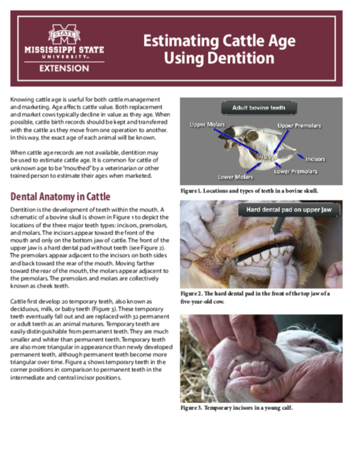 Preview of P2779_web.pdf