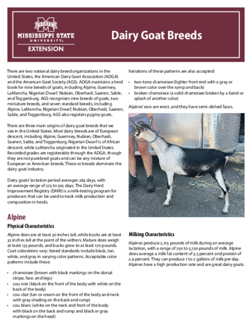 Preview of P4120_web.pdf