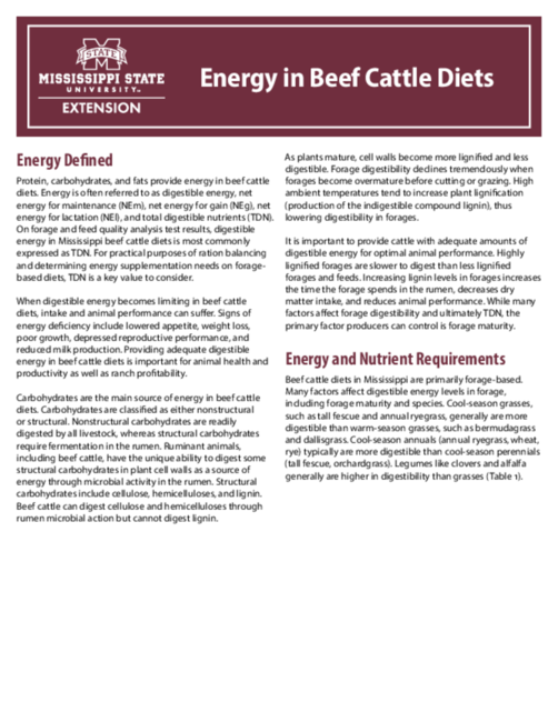 Preview of P2504_web.pdf