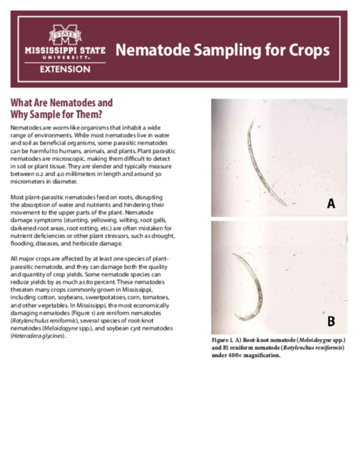 Preview of P4129_web.pdf