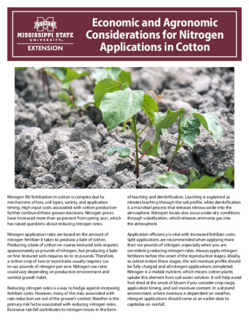 Preview of P3798_web.pdf
