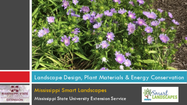 Preview of Mississippi Smart Landscapes - Landscape Design, Plant Materials & Energy Conservation