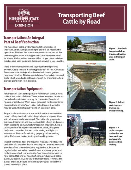 Preview of P2797_web.pdf