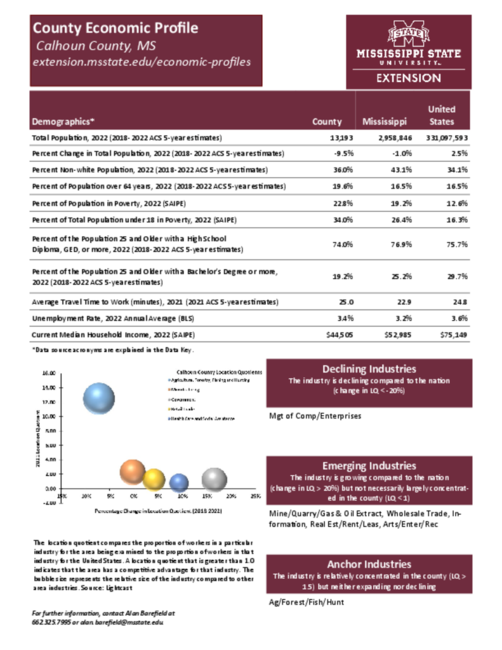Preview of calhoun_county_economic.pdf