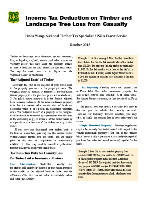 Preview of tax_deduction_loss.pdf