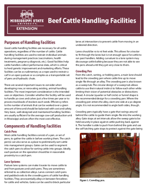 Preview of P2787_web.pdf