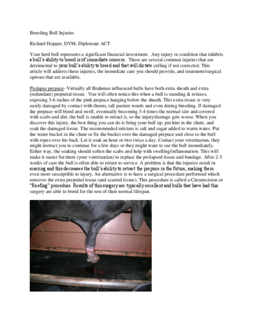 Preview of vet_nov2015.pdf