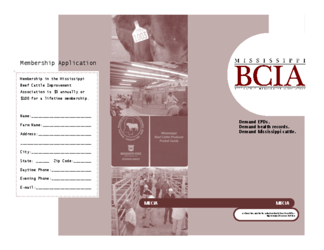 Preview of mbcia-brochure.pdf