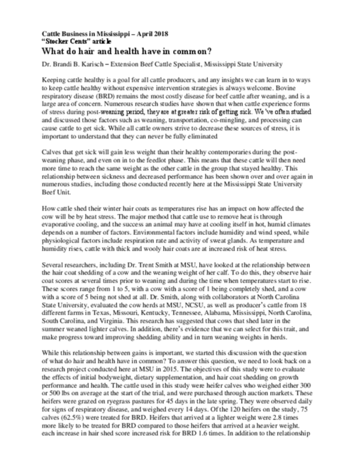 Preview of 5-karischmaycbim.pdf