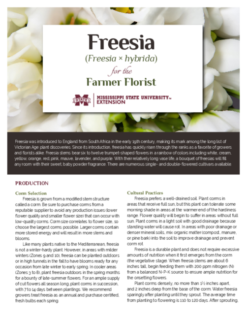 Preview of P3751_web.pdf