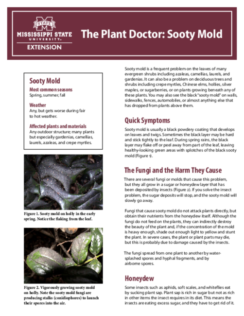 Preview of P4035_web.pdf