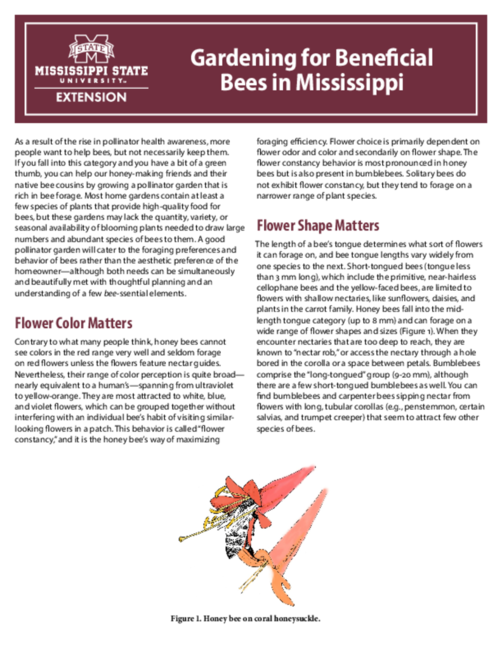 Preview of P2976_web.pdf