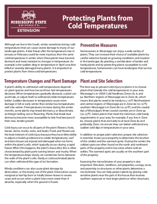 Preview of P2303_web_1.pdf