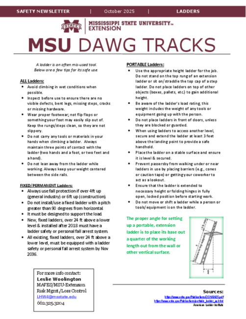 Preview of ladders - Oct 2025.pdf