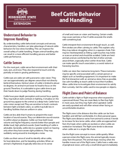 Preview of P2801_web.pdf