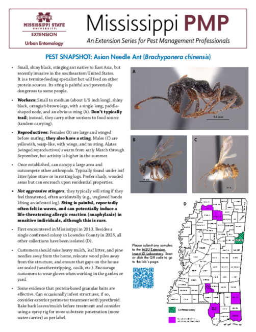 Preview of P4142_web.pdf