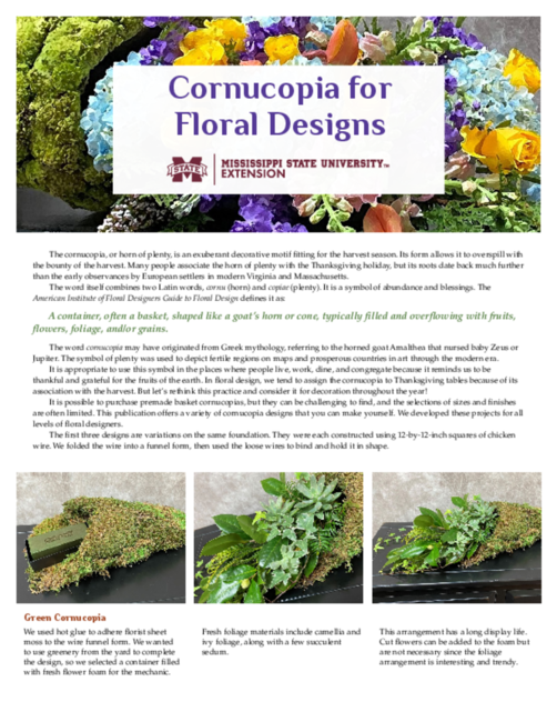 Preview of P3792_web.pdf