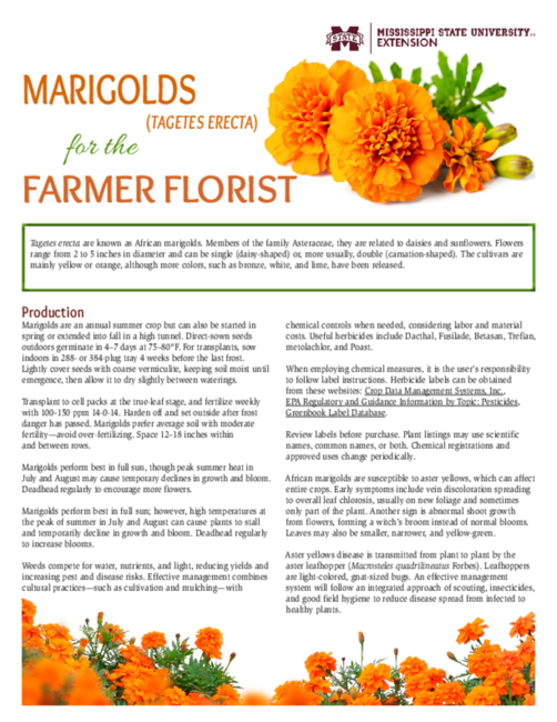 Preview of P3362_web_2.pdf