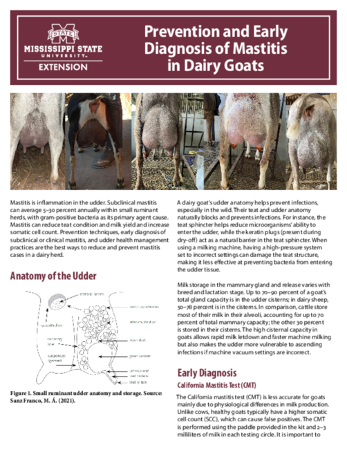 Preview of P4132_web.pdf