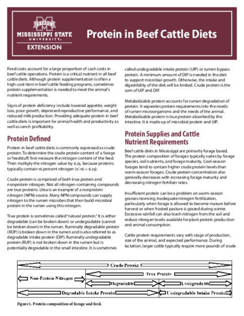 Preview of P2499_web.pdf