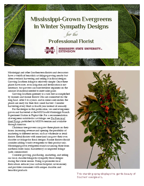 Preview of P3775_web_0.pdf